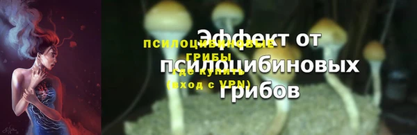молекула духа Алексин