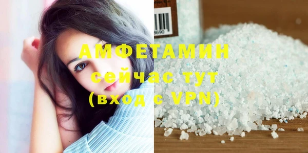 молекула духа Алексин