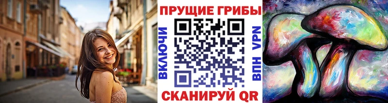 купить наркотики цена  Дно  Галлюциногенные грибы Psilocybe 